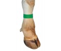  Маркираща лента Fetlock, зелена thumb