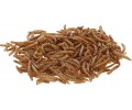 Сушените брашнени червеи Mealworms, 900 g thumb
