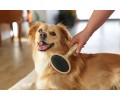 Четка MagicBrush Soft thumb
