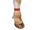  Маркираща лента Fetlock, червена thumb